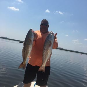 Meet your Posher, Bill